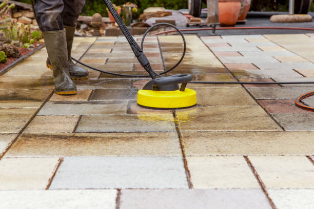 Best Sidewalk and Walkway Cleaning  in Papillion, NE