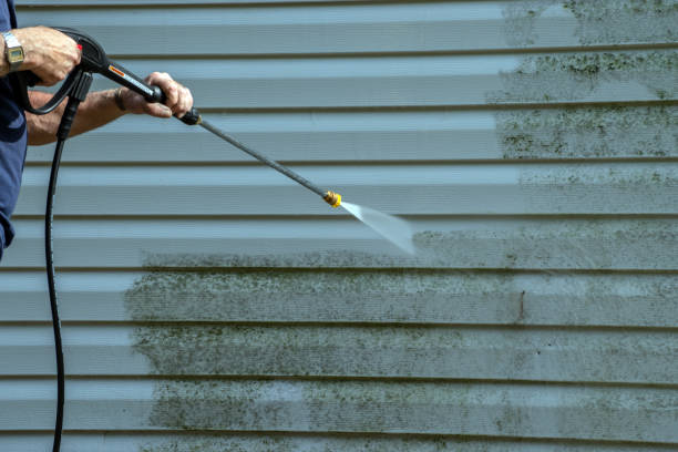 Trusted Papillion, NE  Pressure Washing Services Experts