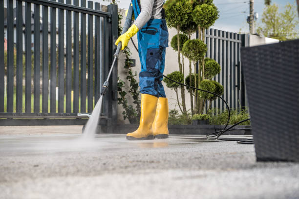 Best Building Exterior Washing  in Papillion, NE